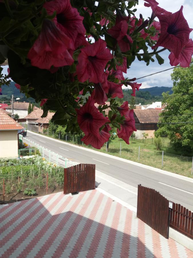Casa Infinity Hotel Sovata Eksteriør billede